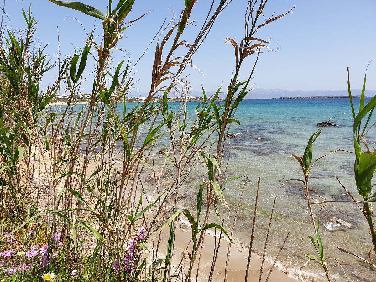 Όρτσα τα πανιά και αραξοβολούμε στην Πάρο 