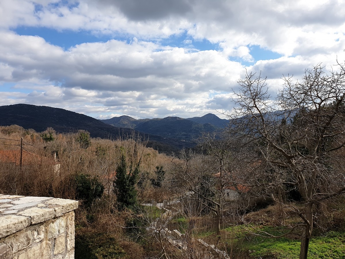 Στην ορεινή Τριφυλίας